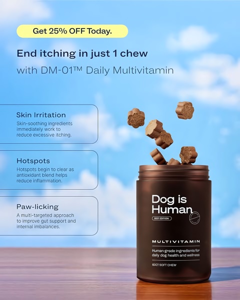 This 4:5 aspect ratio ad features a floating daily multivitamin chew product against a bright sky background, utilizing clear, benefit-led bullet points to address common pet skin issues.